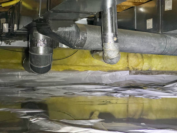 Best Flooded house restoration  in Ottawa, IL